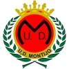 蒙蒂霍